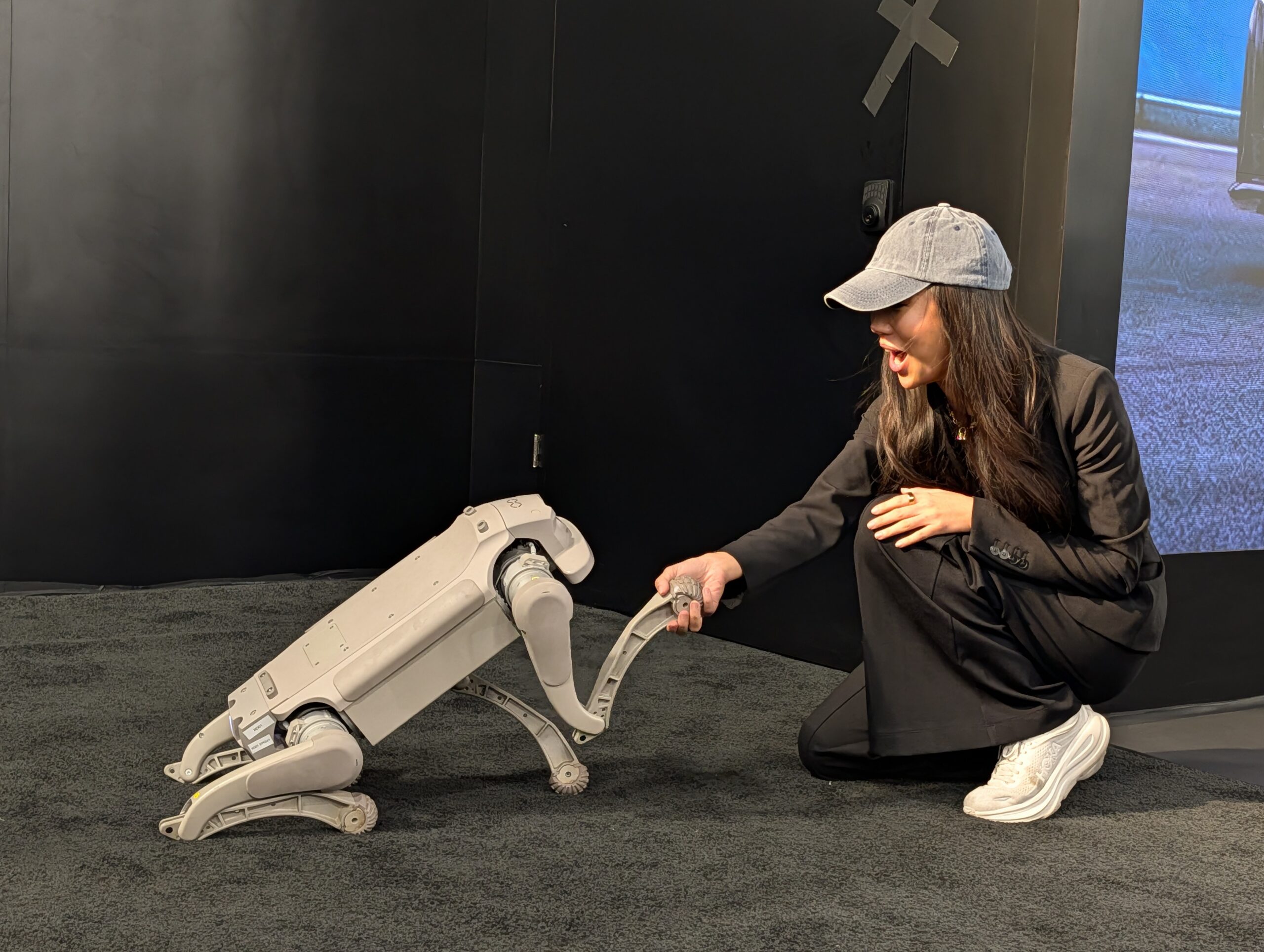 FX Aegis — Quadruped Security Robot